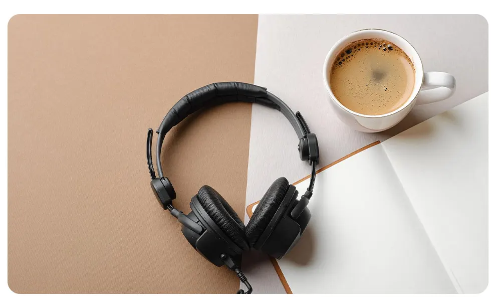 Portable podcast mic
